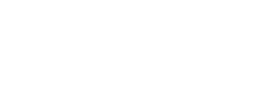 ION e-Commerce