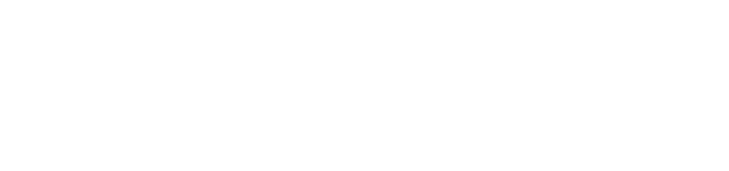 IR Bot