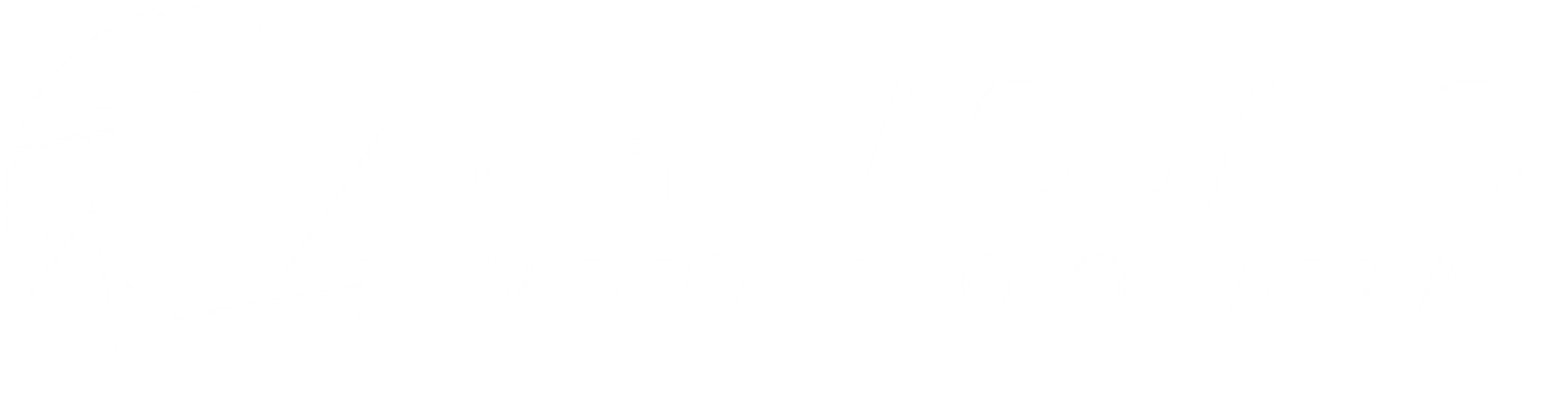 JRNVisuals