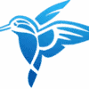Kingfisher Drone Services