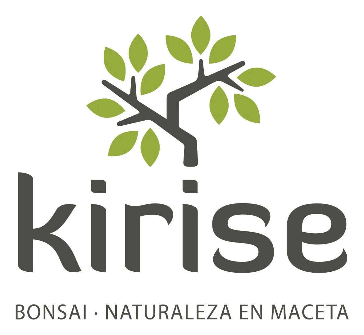 Kirise