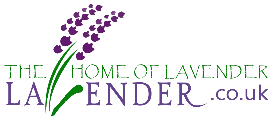 The Home of Lavender