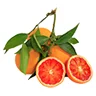 Azienda Agricola Le Arance Rosse