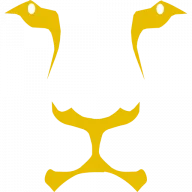 Lemon Lion Consulting 