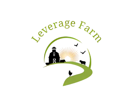 Leveragefarm