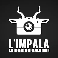 L'Impala Photographie