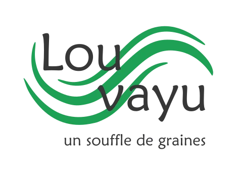 Lou vayu