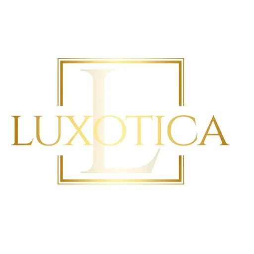 Chauffeur Privé à Nice - Luxotica