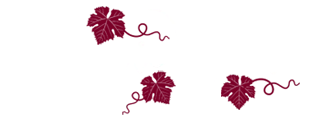 Magic Wines