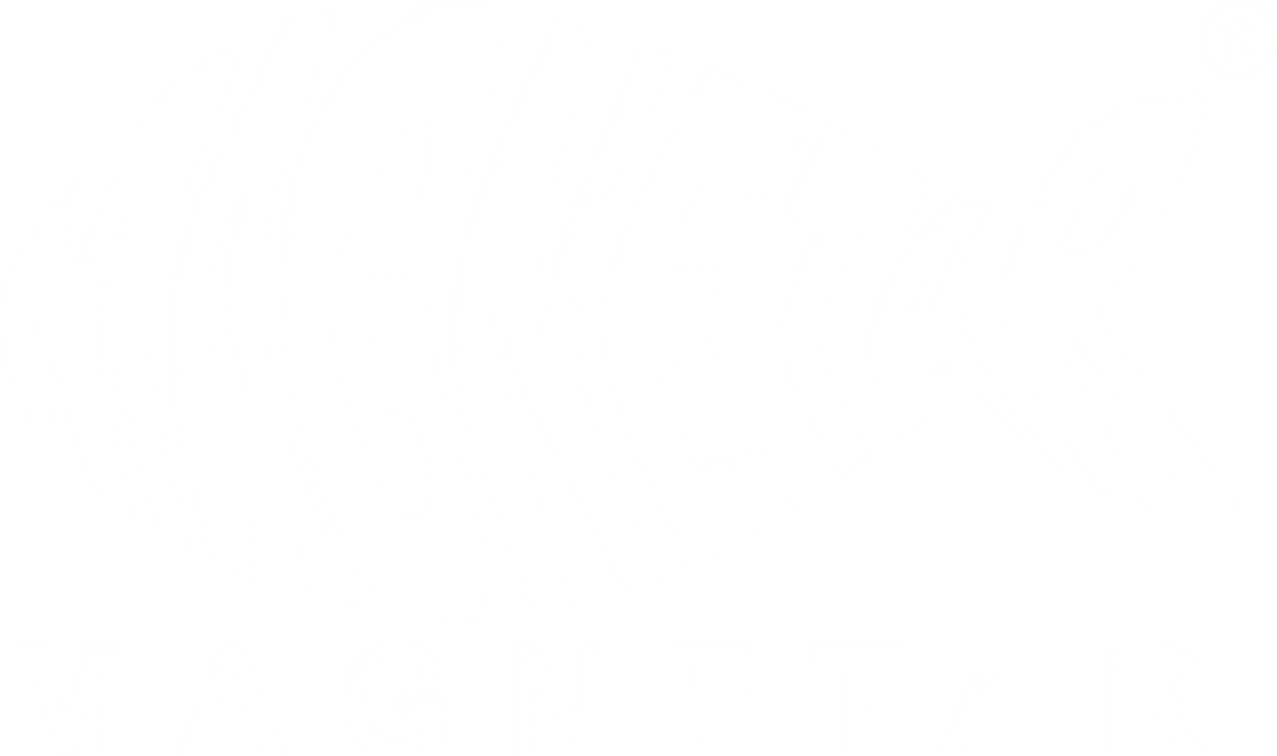 Magnetarvismagneet