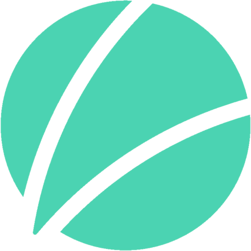 Managed Service Provider
