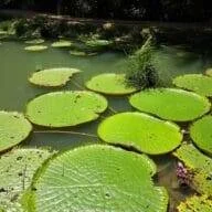 Amazon Amazing Tours
