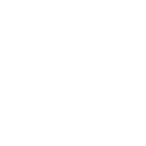 MartinKok