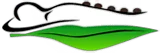 Massagenaturalclinic