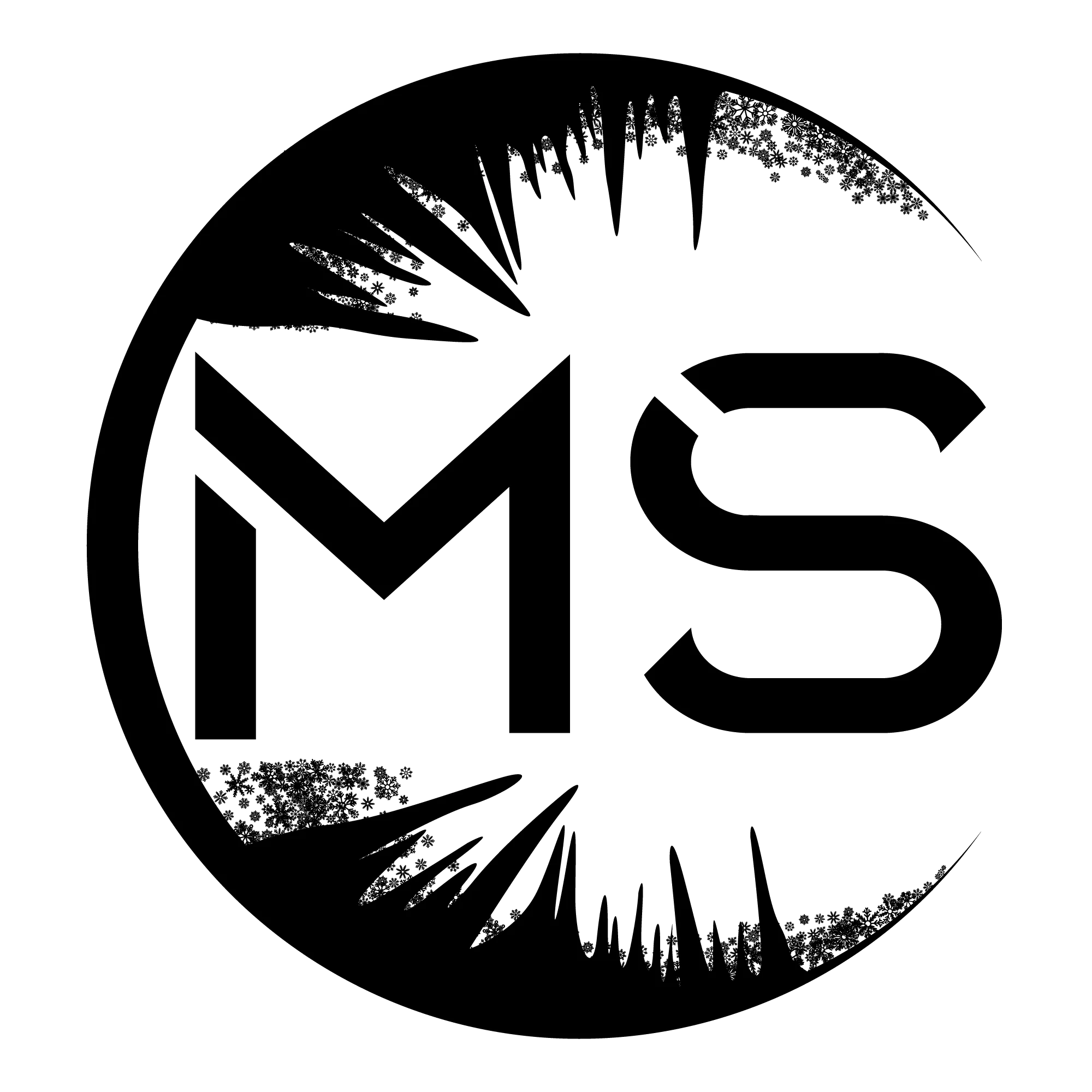 MS Performance - Mathieu Schmidt