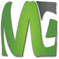 Matt Gwinnutt Guitar LTD