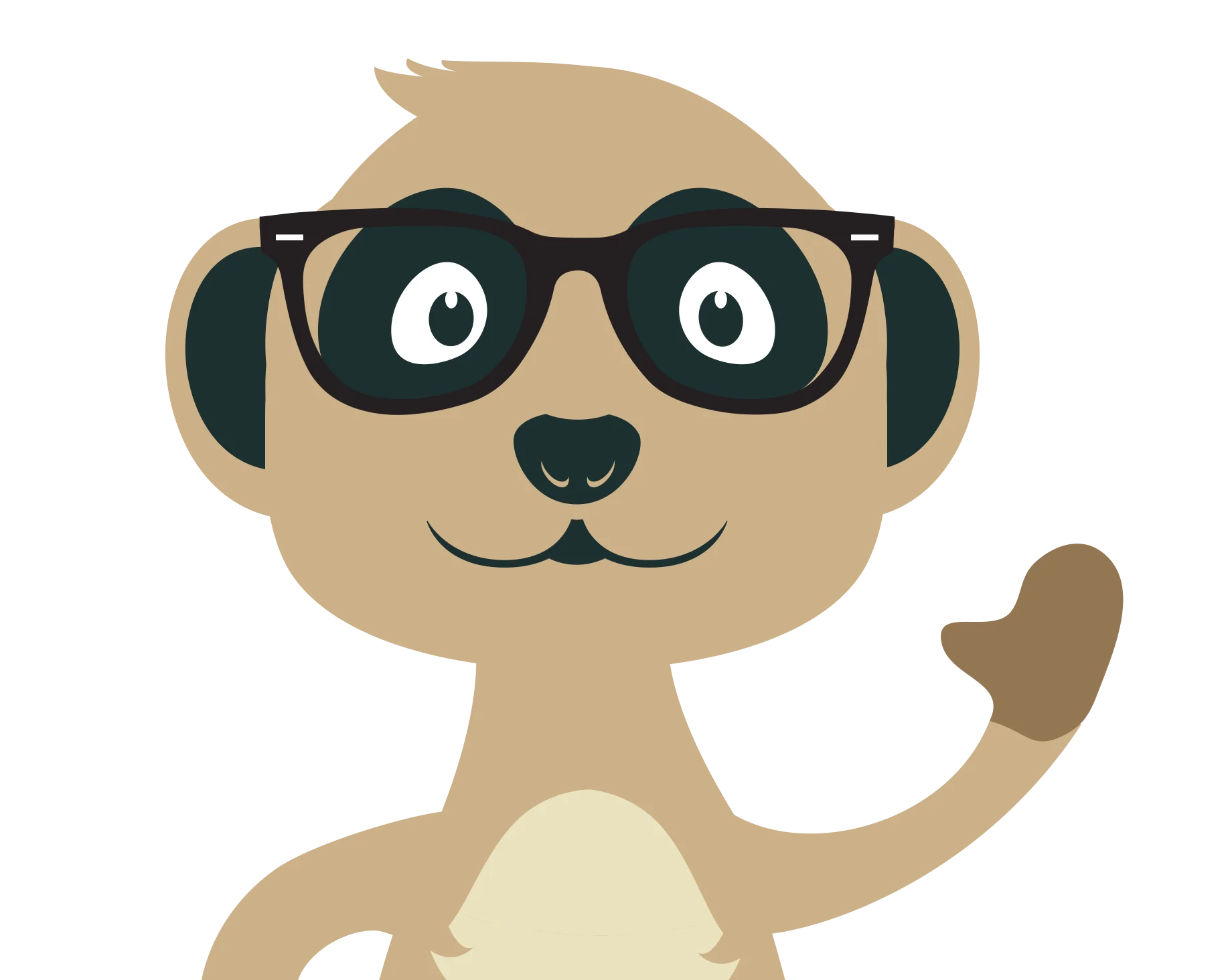 Meerkat