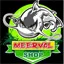 Meerval