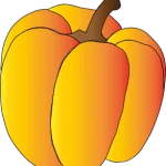 Melokid