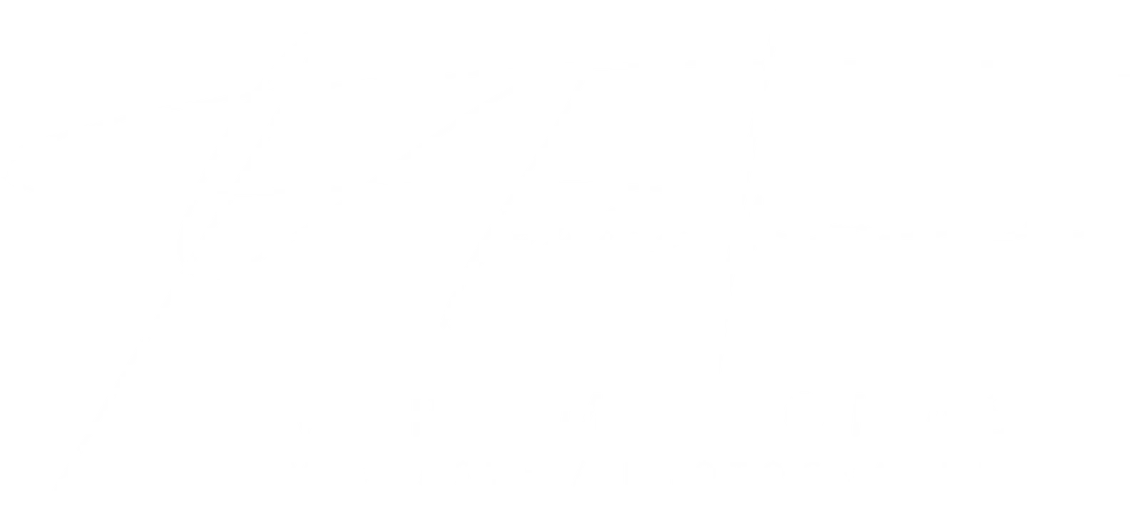 Meriem Thomas Photographe Animaux de compagnie