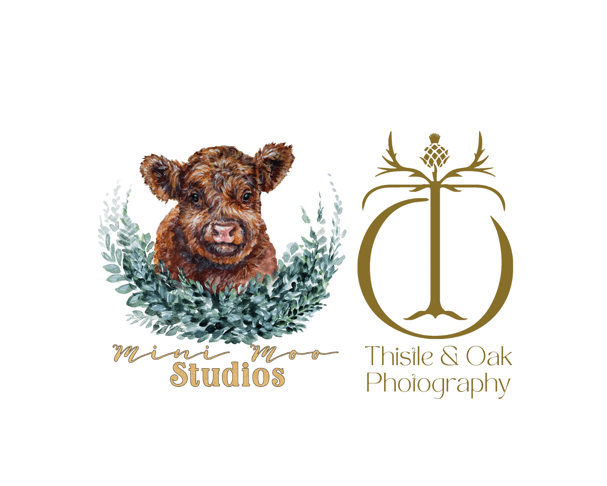 Mini Moo Studios
