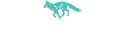 Molloys Liquor Store