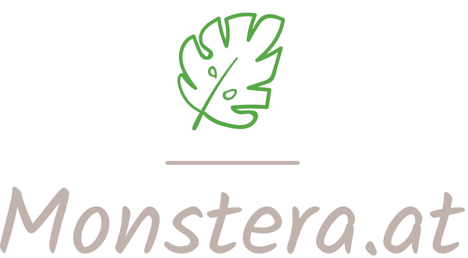 Monstera