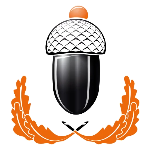 Myboshi