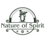 Nature of Spirit
