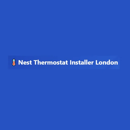 Nest Thermostat Installer London
