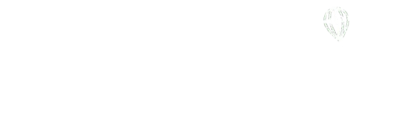 Noahmorris