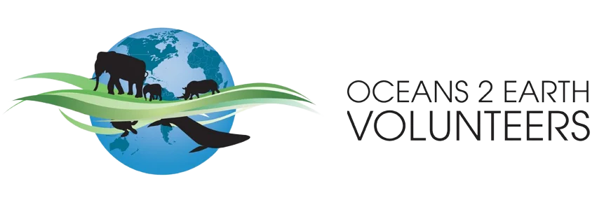 Oceans 2 Earth Volunteers