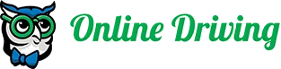 Online Driving Professor