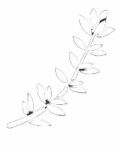 On Thyme Personal Chef Service