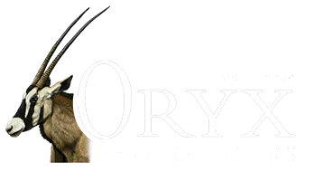 ORYX Photo Tours