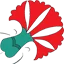 Ottomanflowers