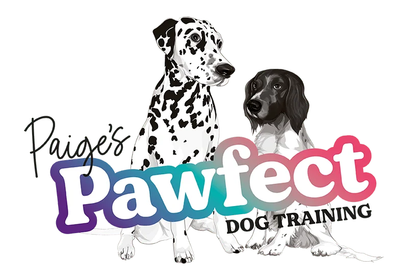 Paige's Pawfect Dog Training