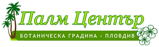 Palmi