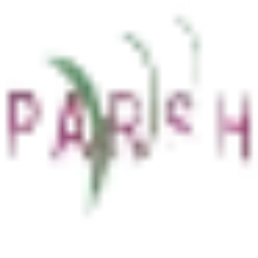 Parsh Infotech Inc - Computer, Laptop & Cartridges Store