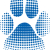 PawFriction