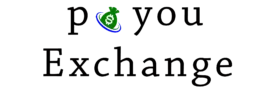 Payou Exchange