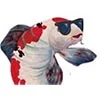 Peekoi Online Shop