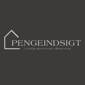 Pengeindsigt