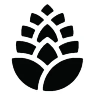 Pine Dental & Aesthetics