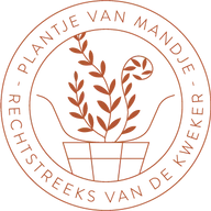 Plantje van Mandje