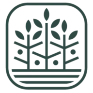Pyrus