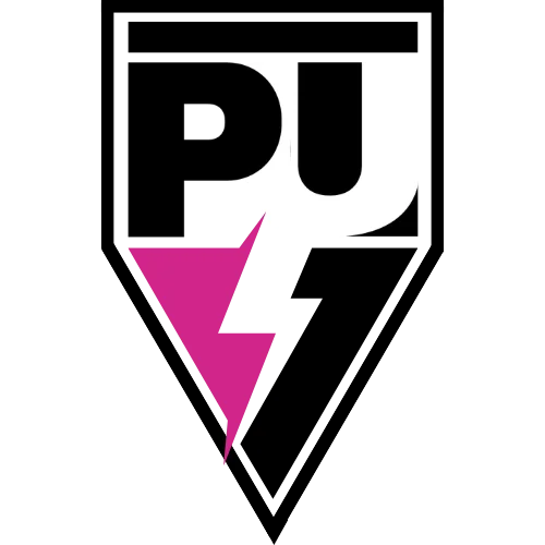 Power Unit Coaching
