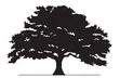 Premiertreesandgardens