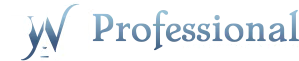 Professional Writers Help