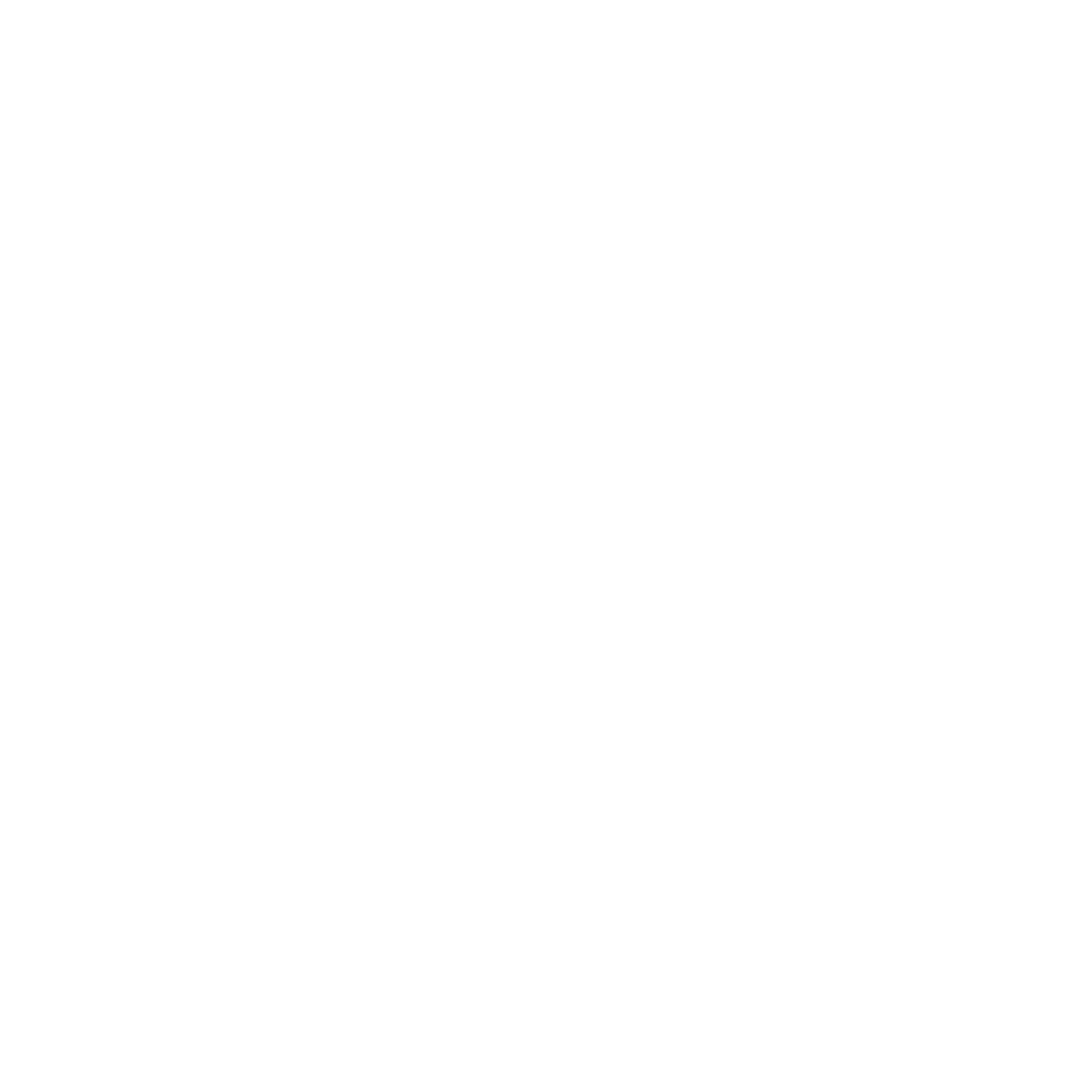 DJ PRO